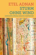 Cover-Bild Sturm ohne Wind