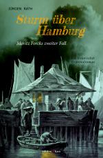Cover-Bild Sturm über Hamburg