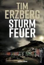 Cover-Bild Sturmfeuer