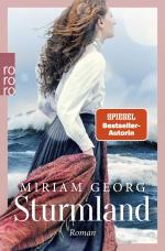 Cover-Bild Sturmland