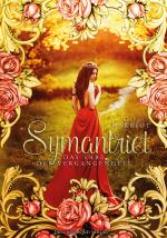 Cover-Bild Symantriet - Das Erbe der Vergangenheit
