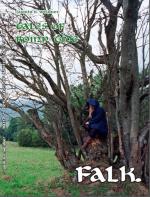 Cover-Bild tales of roinn tìde, Band 4