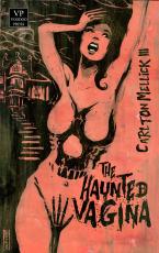 Cover-Bild The Haunted Vagina / Ugly Heaven