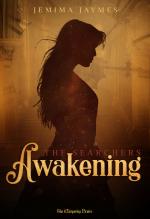Cover-Bild The Searchers: Awakening