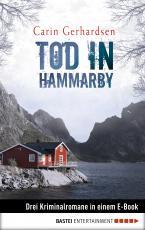Cover-Bild Tod in Hammarby