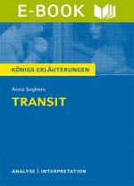 Cover-Bild Transit