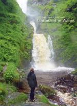 Cover-Bild Traumzeit in Wales - Ein Reiseverführer