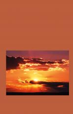 Cover-Bild Über das Neue. Junge Szenen in Wien