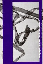 Cover-Bild Übergangsbogen und Überhöhungsrampe