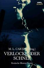 Cover-Bild VERLOCKENDER SCHNEE