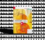 Cover-Bild Vernetzungen - Geografie (Wirtschaftsgeografie) I HAK + TRAUNER-DigiBox