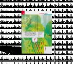 Cover-Bild Vernetzungen - Wirtschaftsgeografie und globale Entwicklung, Volkswirtschaft II LW E-Book Solo