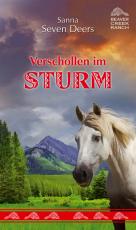 Cover-Bild Verschollen im Sturm