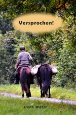 Cover-Bild Versprochen!