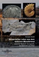 Cover-Bild Versteinertes Leben aus dem östlichen Münsterland - zwischen Beckum, Ennigerloh, Sendenhorst und Ahlen