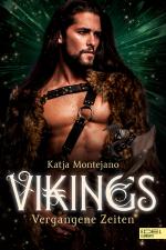 Cover-Bild Vikings - Vergangene Zeiten
