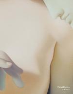 Cover-Bild Vivian Greven - a m o r e