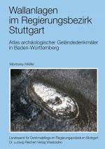 Cover-Bild Vor- und frühgeschichtliche Befestigungen 28