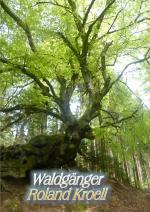 Cover-Bild Waldgänge