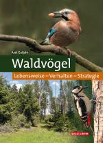 Cover-Bild Waldvögel