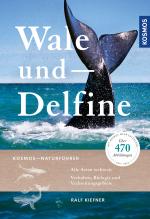Cover-Bild Wale und Delfine