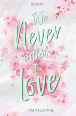 Cover-Bild We Never Called It Love