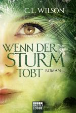 Cover-Bild Wenn der Sturm tobt
