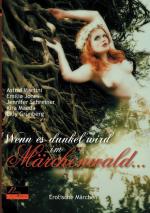 Cover-Bild Wenn es dunkel wird im Märchenwald ...