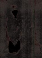 Cover-Bild Wespennest. Zeitschrift für brauchbare Texte und Bilder / Friederike Mayröcker - die herrschenden Zustände