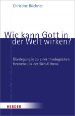 Cover-Bild Wie kann Gott in der Welt wirken?