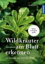 Cover-Bild Wildkräuter am Blatt erkennen