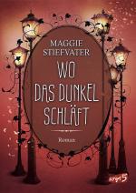 Cover-Bild Wo das Dunkel schläft (Band 4)
