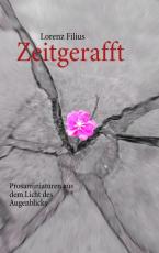 Cover-Bild Zeitgerafft