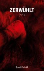 Cover-Bild Zerwühlt