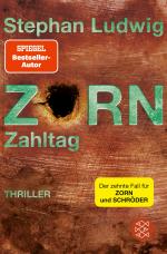 Cover-Bild Zorn - Zahltag