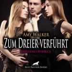 Cover-Bild Zum Dreier verführt | Erotische Geschichte Audio CD