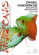 Cover-Bild Zwergfadenfische