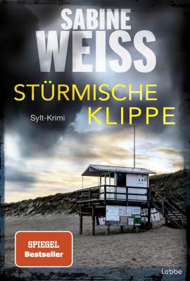 Cover-Bild Stürmische Klippe
