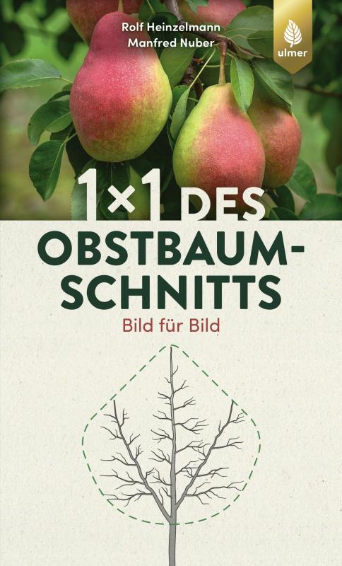 Cover-Bild 1 x 1 des Obstbaumschnitts