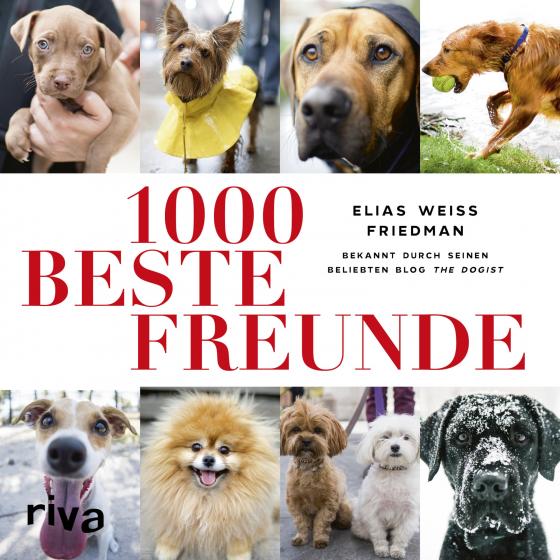 Cover-Bild 1000 beste Freunde