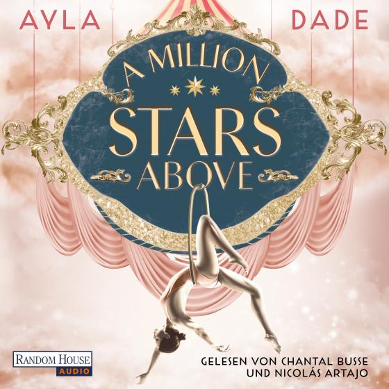 Cover-Bild A Million Stars Above