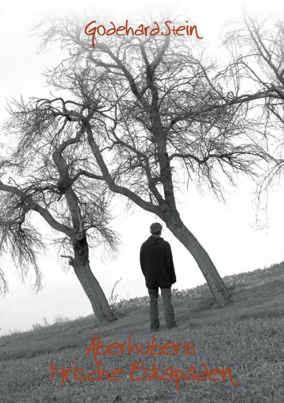 Cover-Bild Aberhuberts lyrische Eskapaden