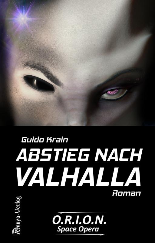 Cover-Bild Abstieg nach Valhalla