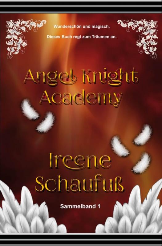 Cover-Bild Angel Knight Academy 1 - (Magical Girl)