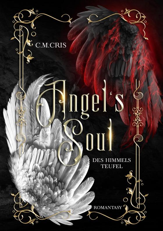 Cover-Bild Angel's Soul