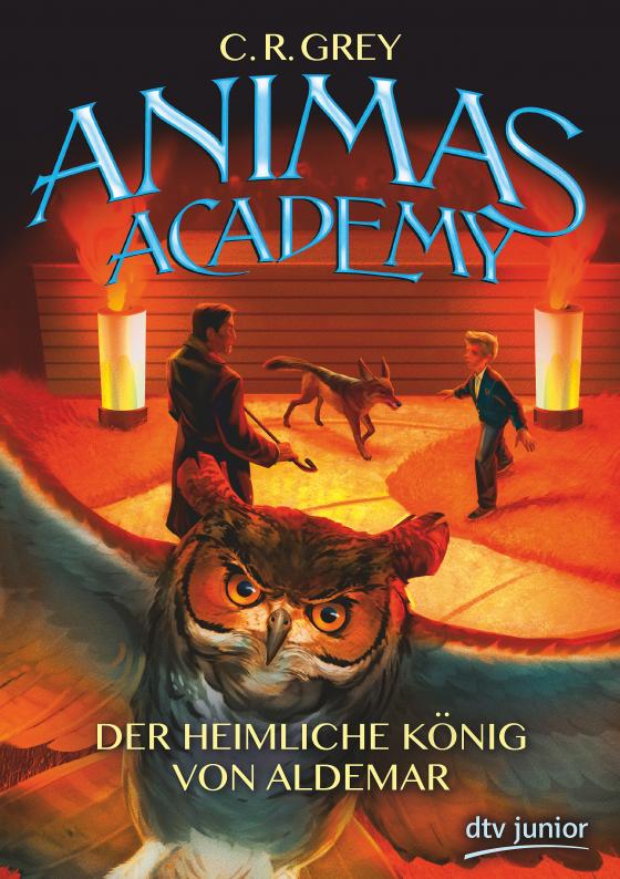 Cover-Bild Animas Academy – Der heimliche König von Aldemar