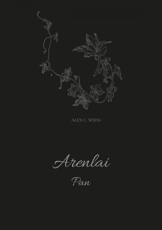 Cover-Bild Arenlai, Fantasyroman