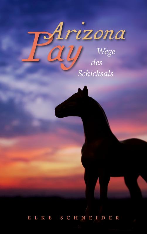 Cover-Bild Arizona Pay