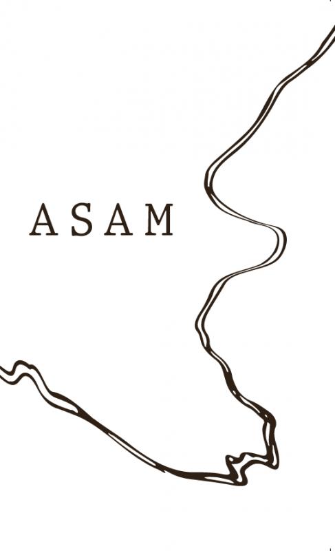 Cover-Bild Asam
