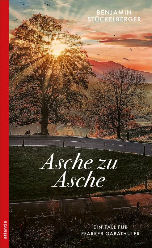 Cover-Bild Asche zu Asche